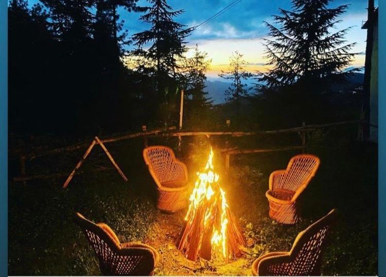 Nature Valley View Resort Manali 2 Bedrooms Luxury Cottages And Valley View Ngoại thất bức ảnh